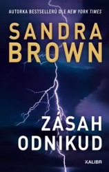 Zásah odnikud - Brown Sandra